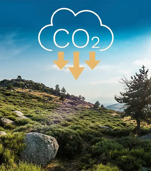 Image d'un paysage avec un icône symbolisant la baisse du CO2
