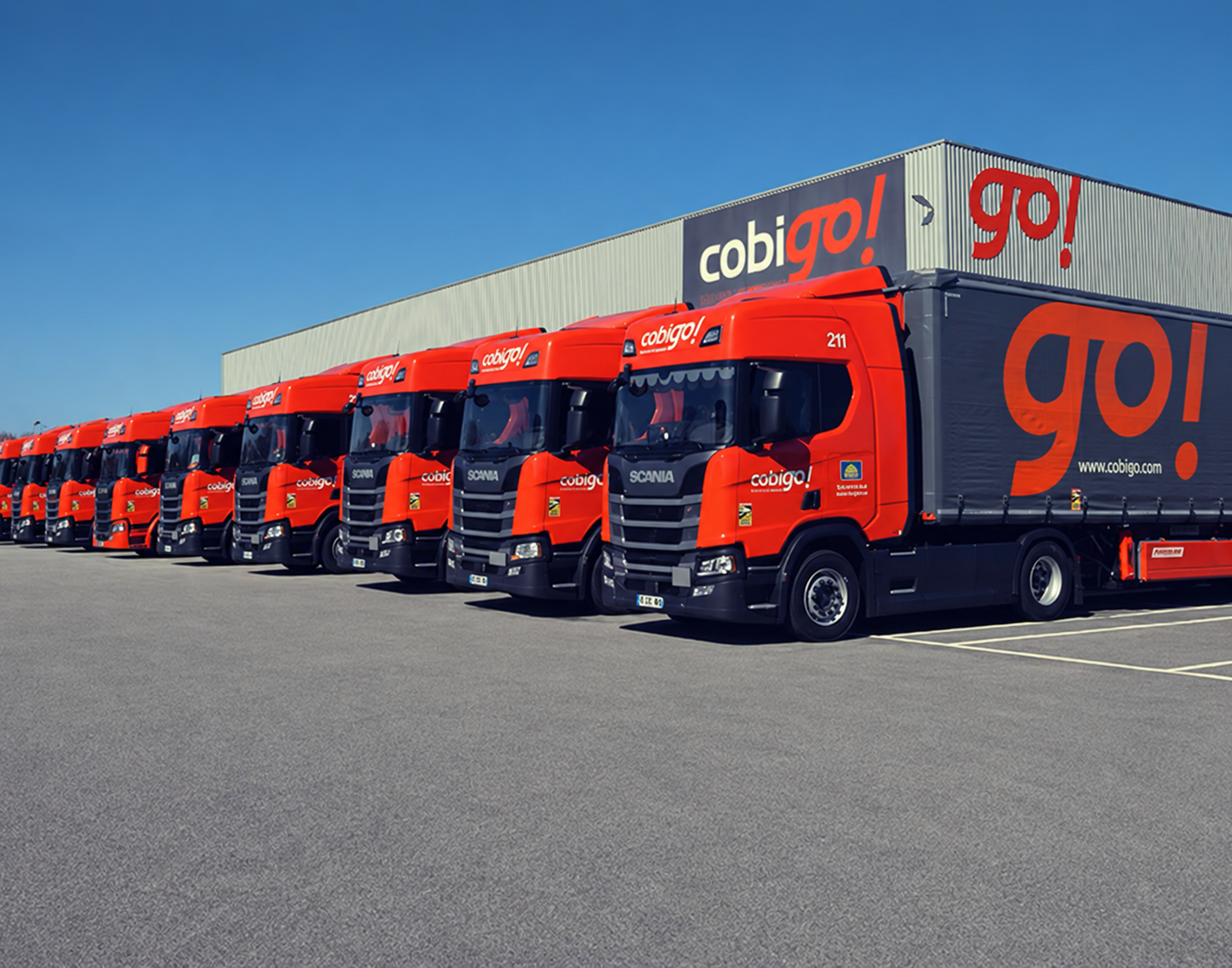 Cobigo adopte Apollo by Solaris